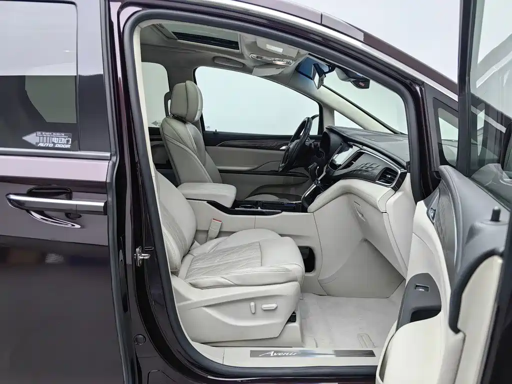 Buick GL8 — миниатюра 23