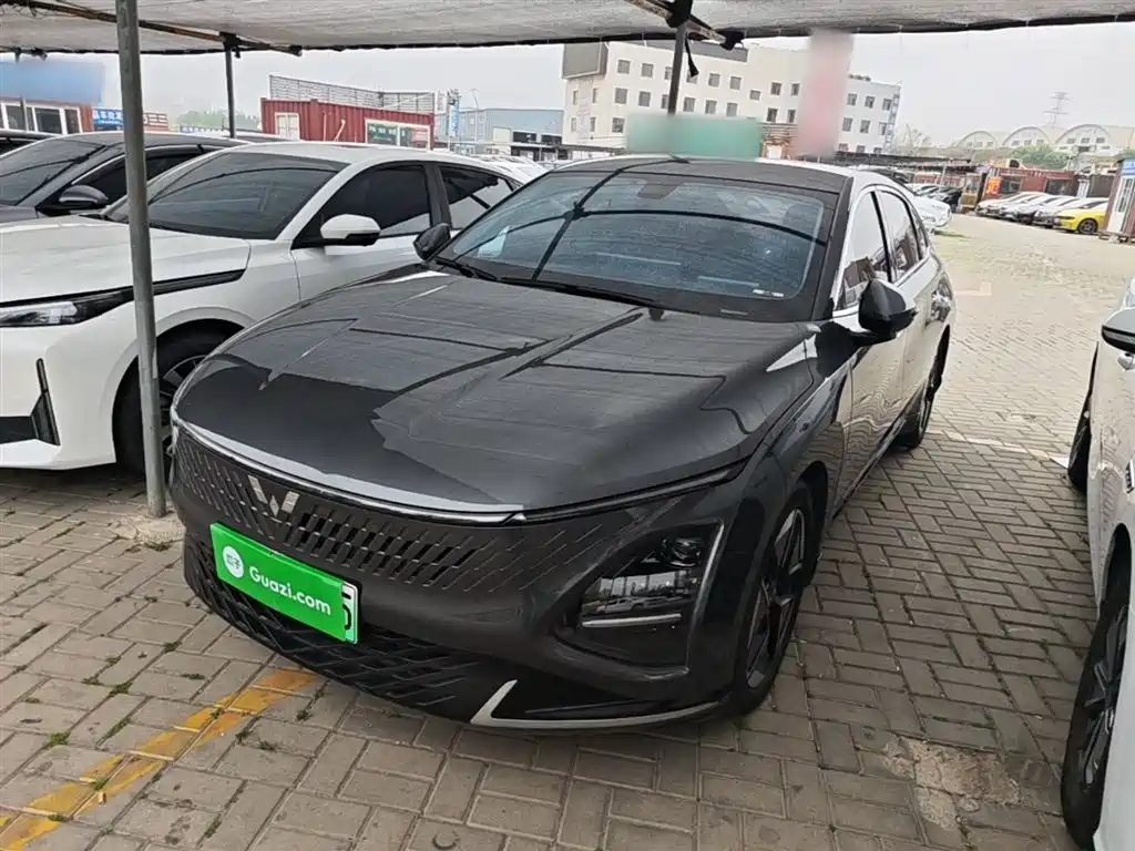 Wuling Xingguang 2024
