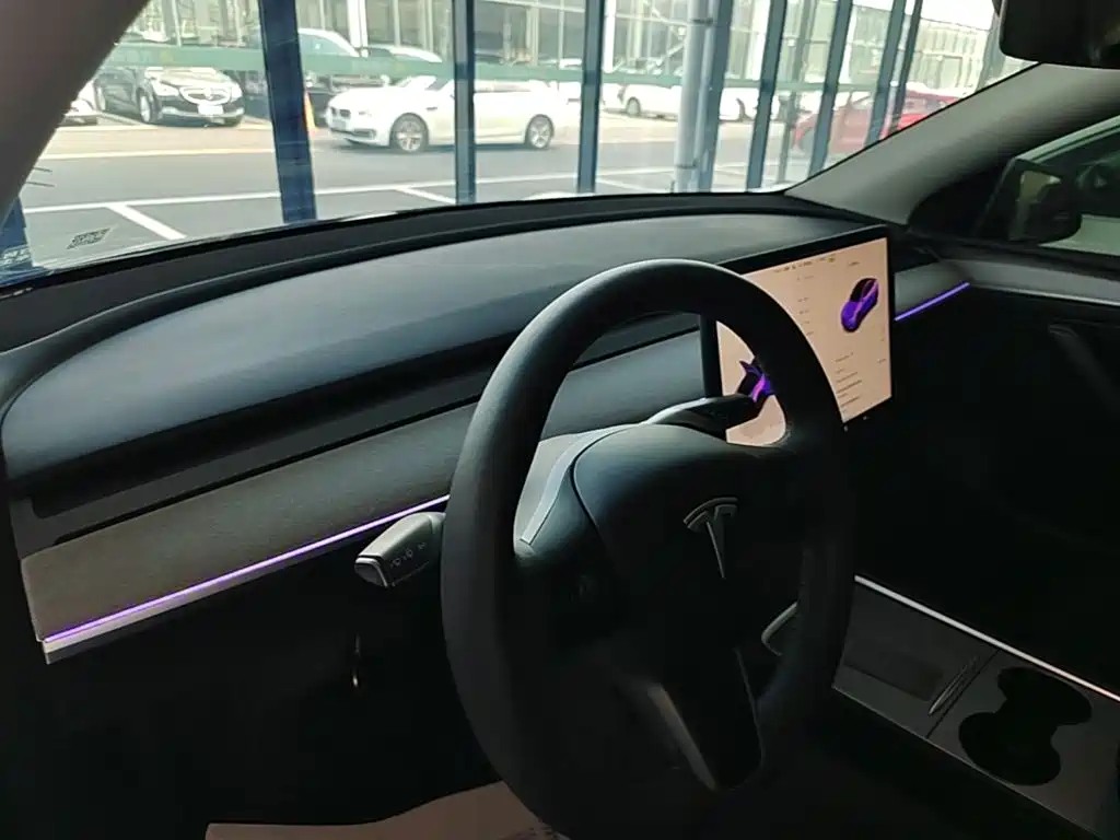 Tesla Model Y — миниатюра 10