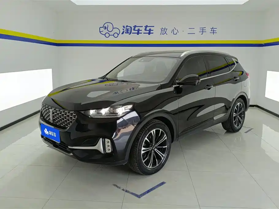 Wey Wey VV6 2021