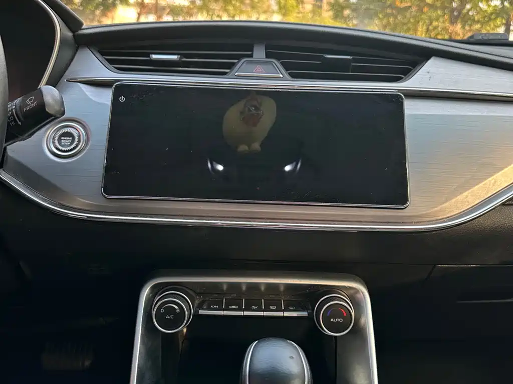 GEELY AUTOMOBILE BINRUI