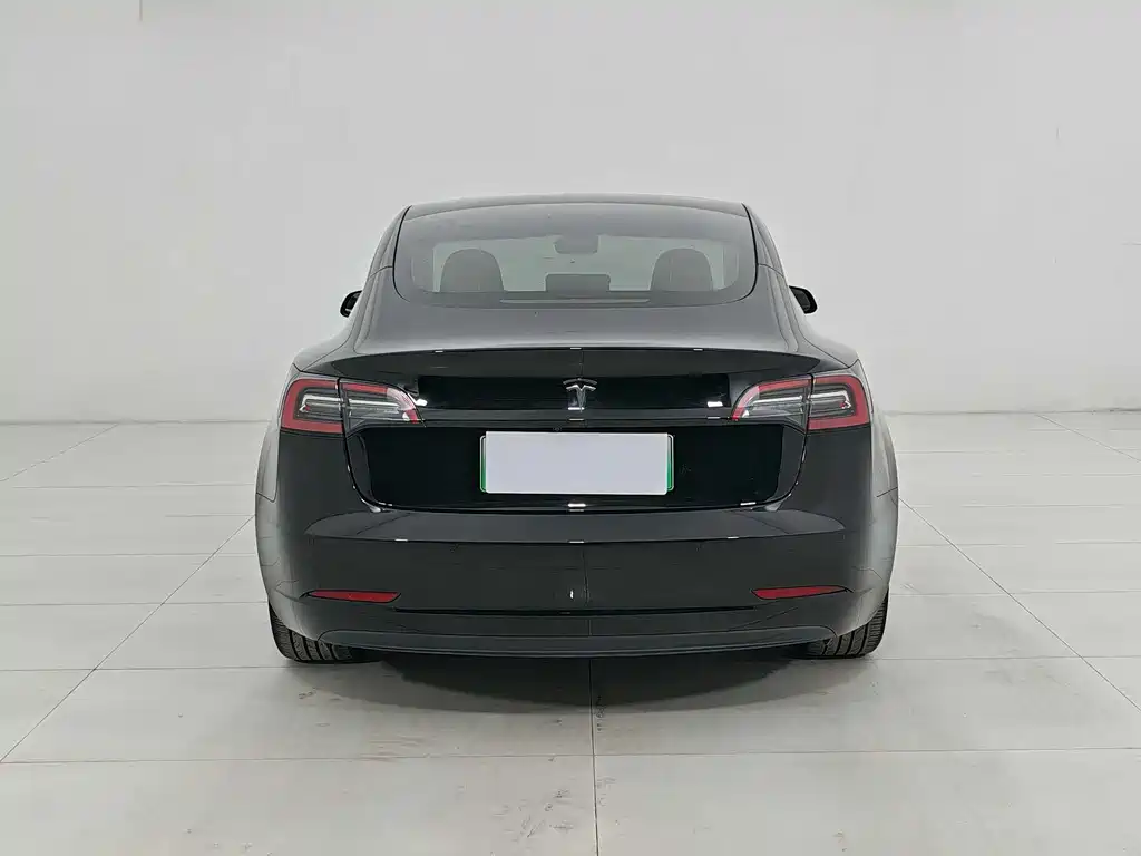 Tesla Model 3 2021 3D1