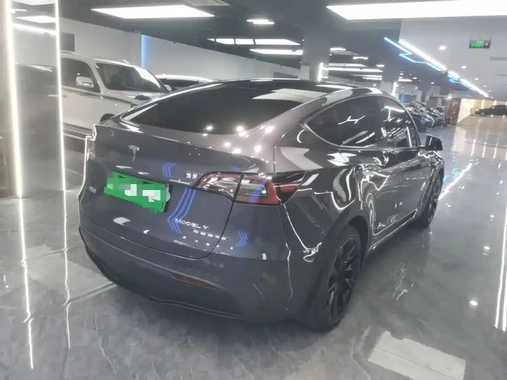 Tesla Model Y — миниатюра 7