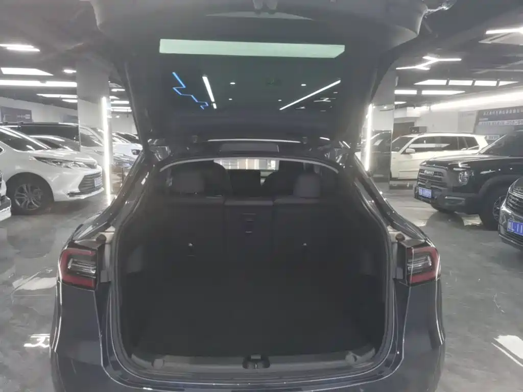 Tesla Model Y — миниатюра 19