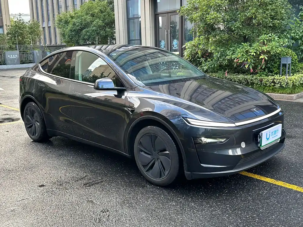 Tesla Model Y — миниатюра 3