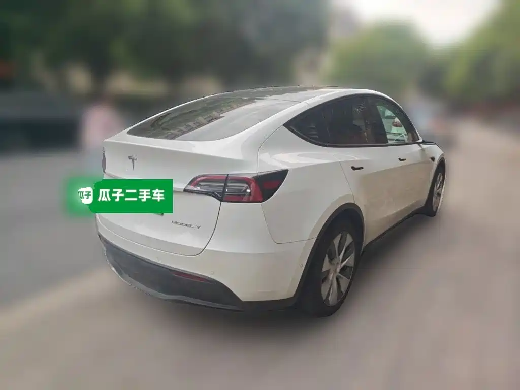 Tesla Model Y — миниатюра 5