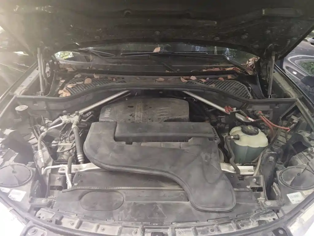 BMW X5 (Import) — миниатюра 11