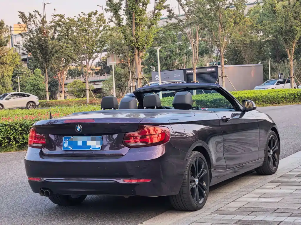 BMW 2 Series (Import) — миниатюра 6