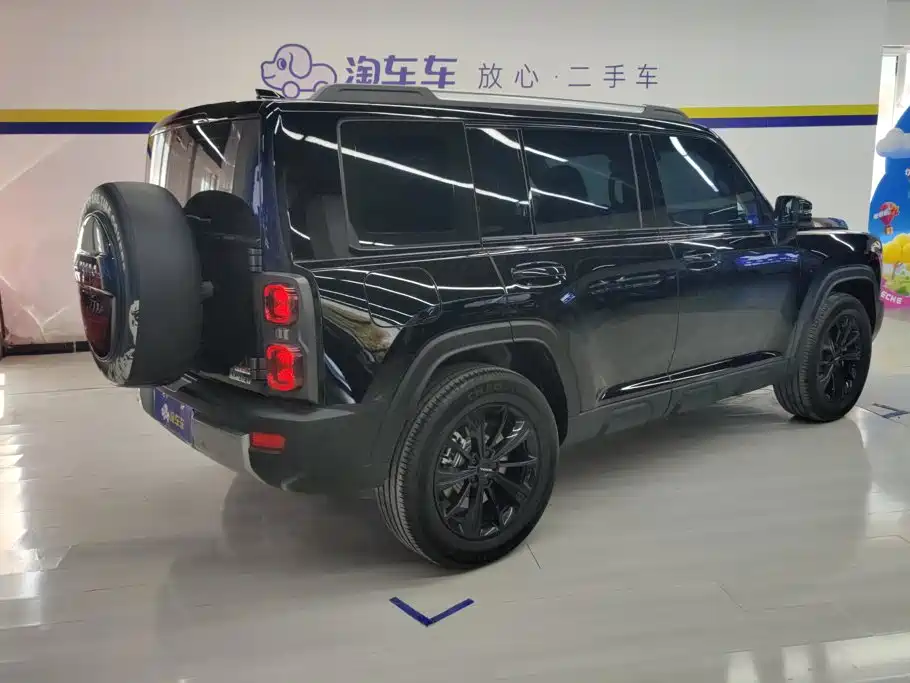 Haval Menglong New Energy Hi4 102 Pro, фото 3