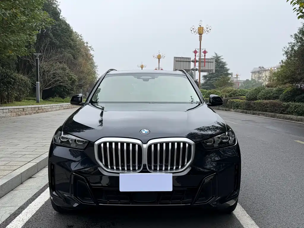 BMW X5 — миниатюра 2