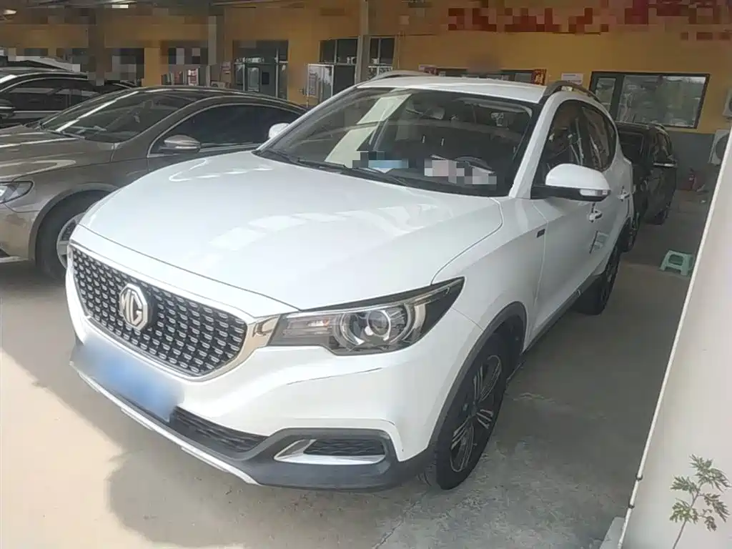 Mg ZS 2020