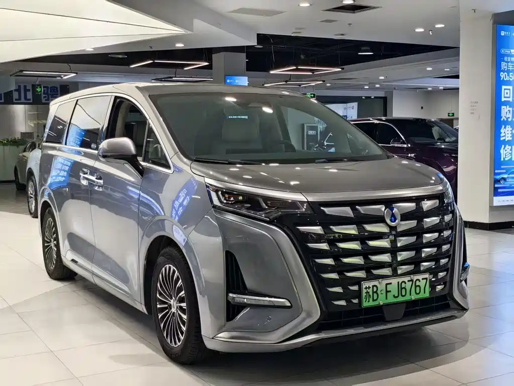 Denza Denza D9 — миниатюра 3