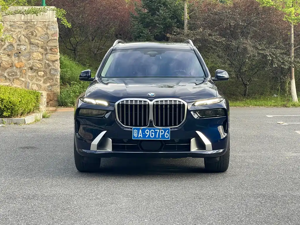 BMW X7 — миниатюра 2