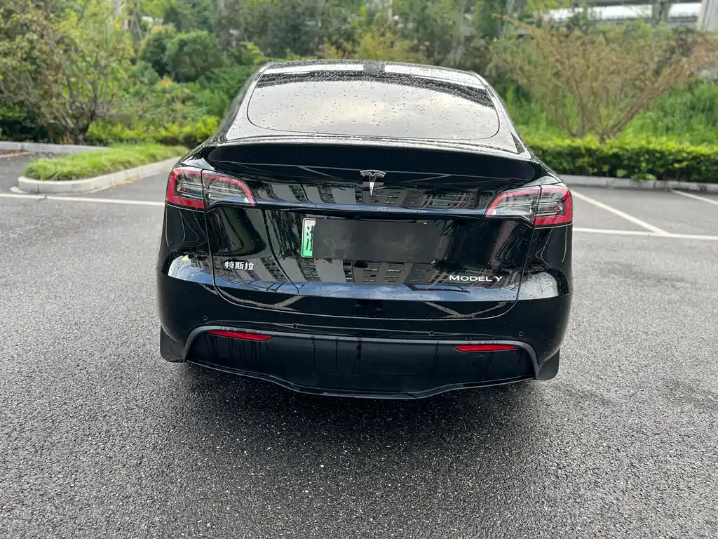 Tesla Model Y — миниатюра 6