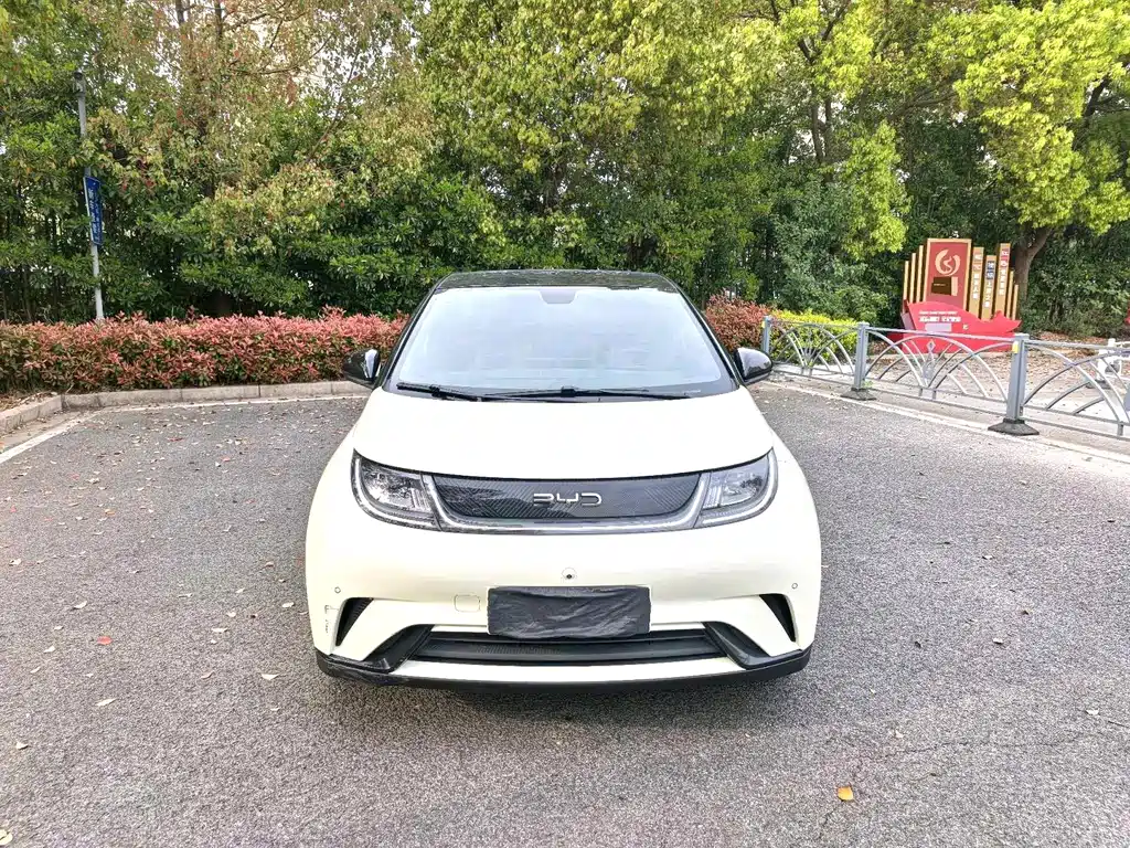 BYD Dolphin - фото 2