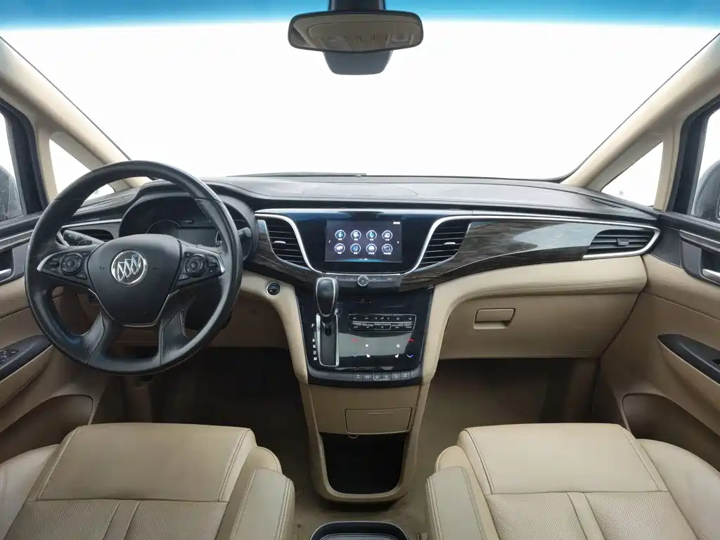 Buick GL8 — миниатюра 5