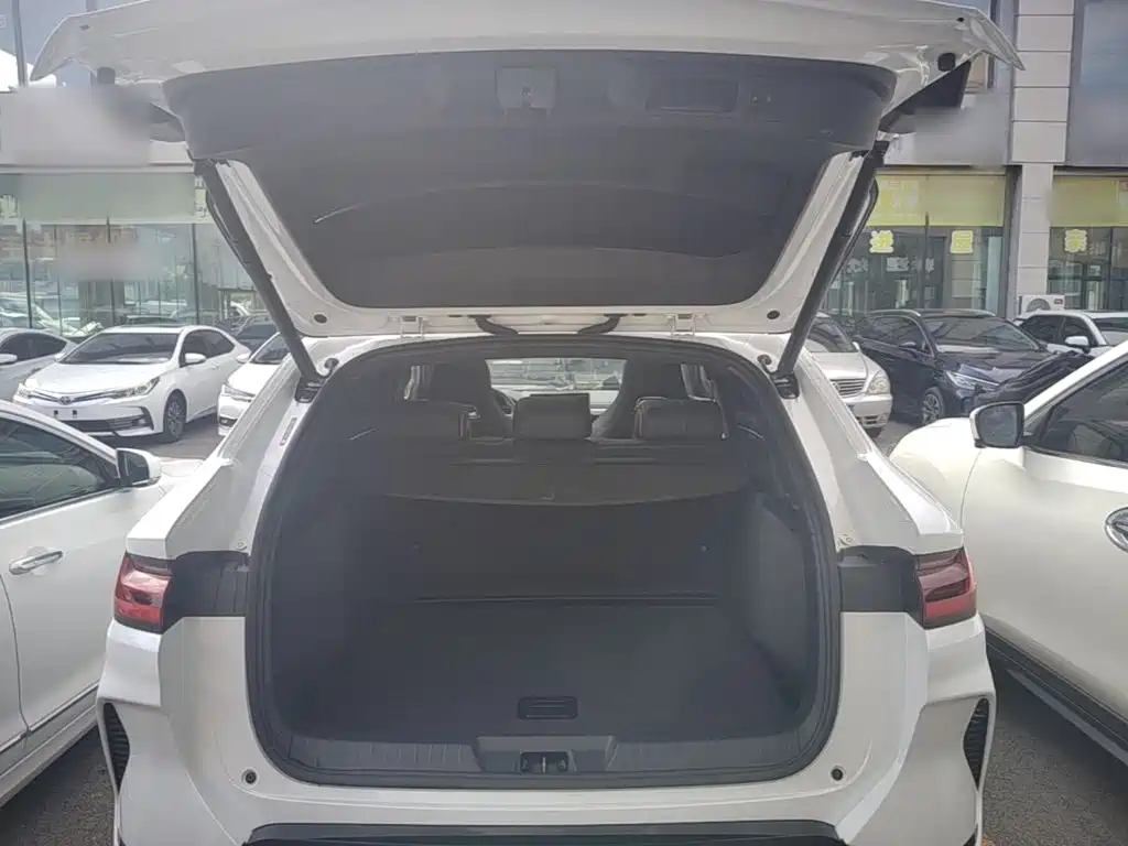 BYD PLUS New Energy — миниатюра 19