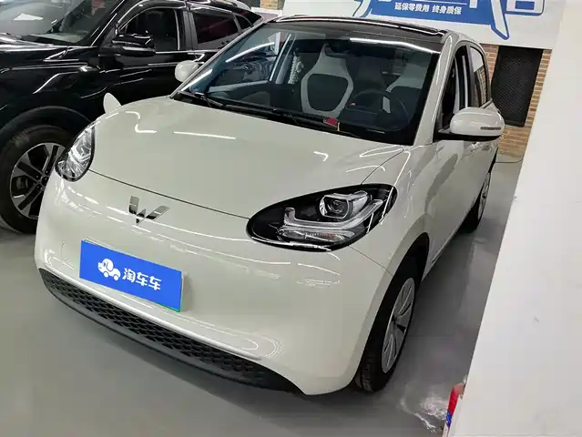 WULING WULING BINGGUO 2024