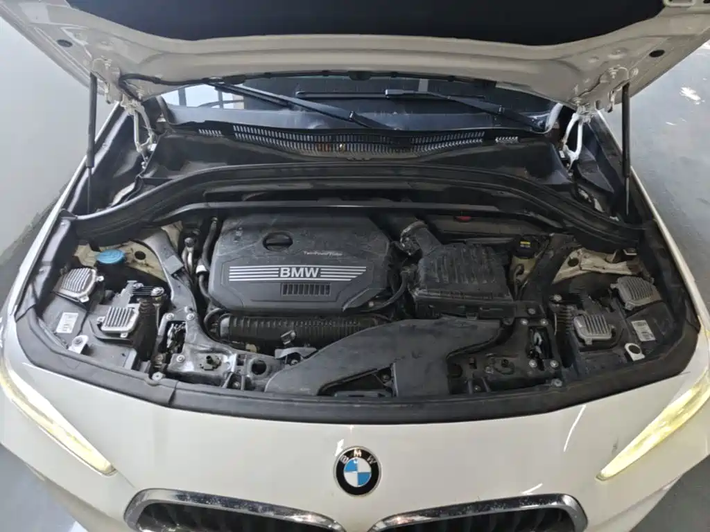 BMW X2 (Import) — миниатюра 20