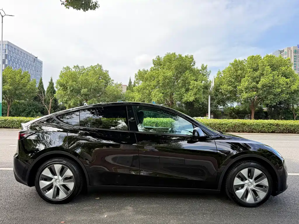 Tesla Model Y — миниатюра 6