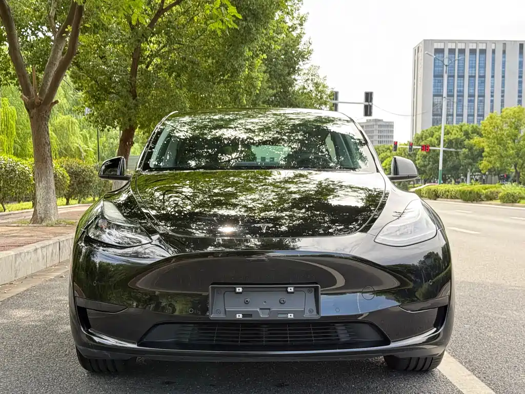 Tesla Model Y — миниатюра 8