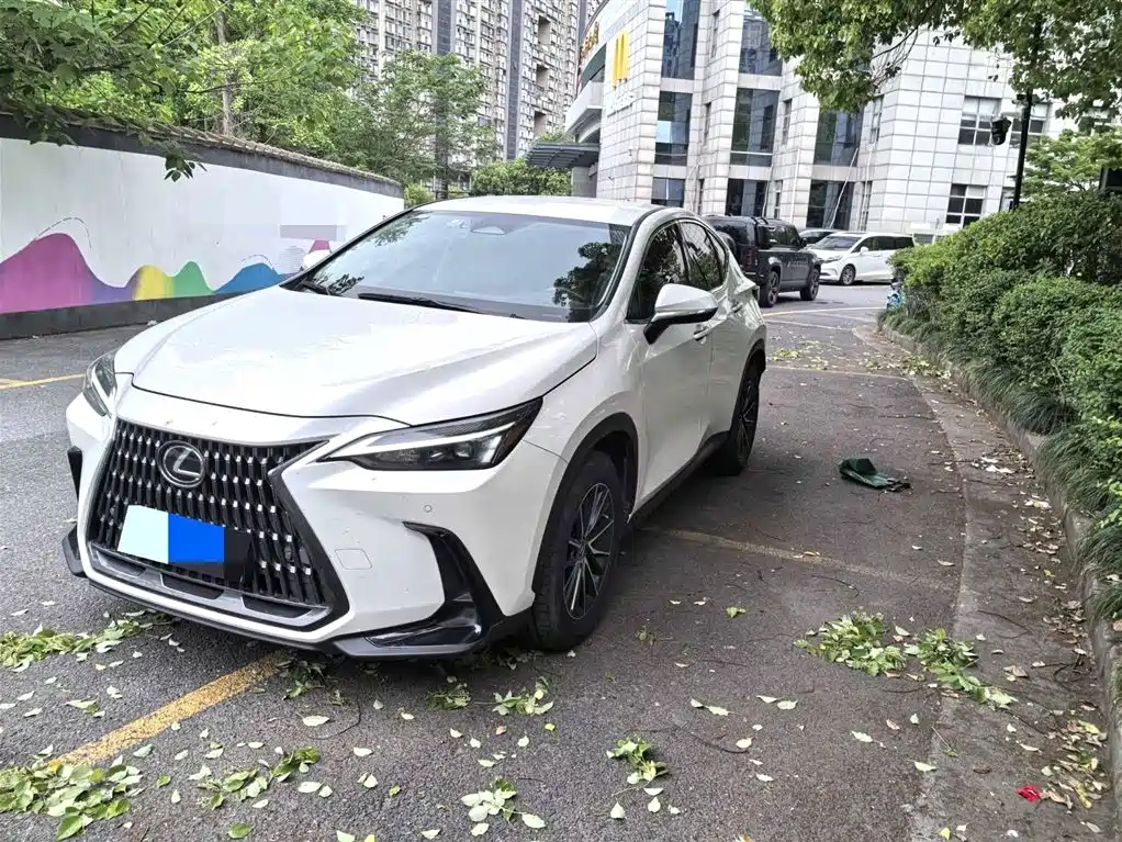 Lexus NX 2022