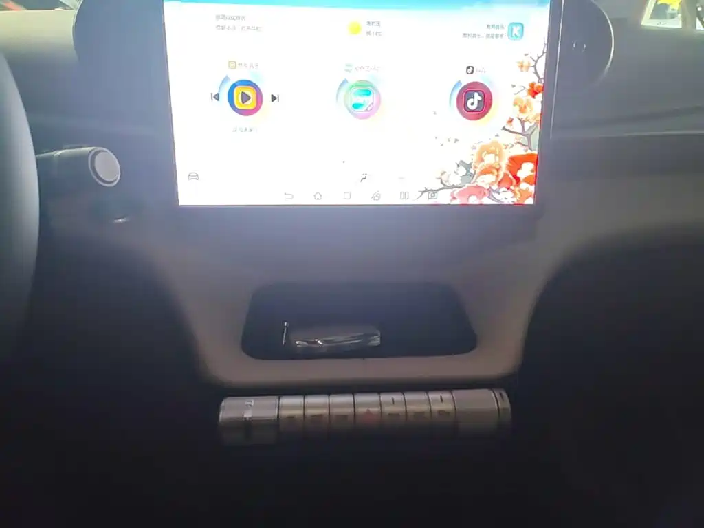BYD Dolphin — миниатюра 13