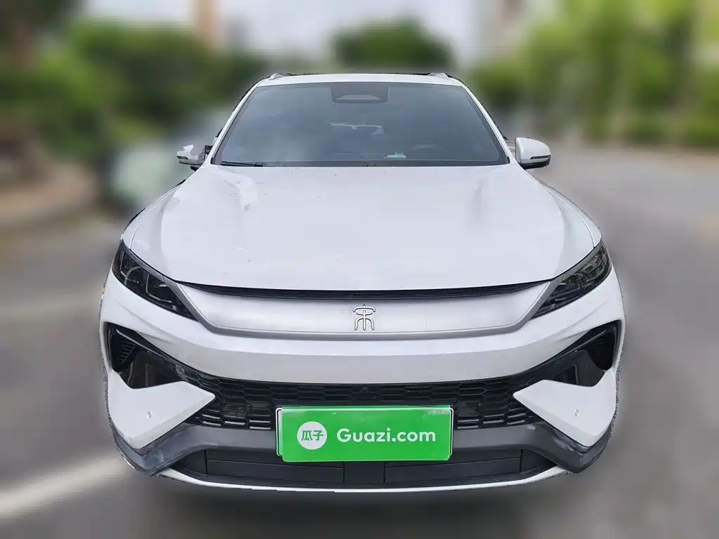 BYD Pro New Energy — миниатюра 24