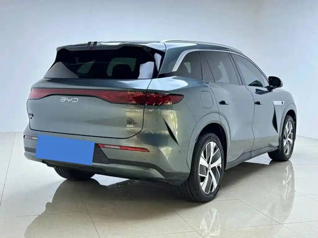 BYD Дон Л. — миниатюра 6