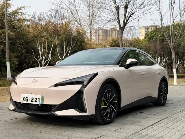 ARCFOX EXTREME FOX POLAR FOX ALPHA S5 2024