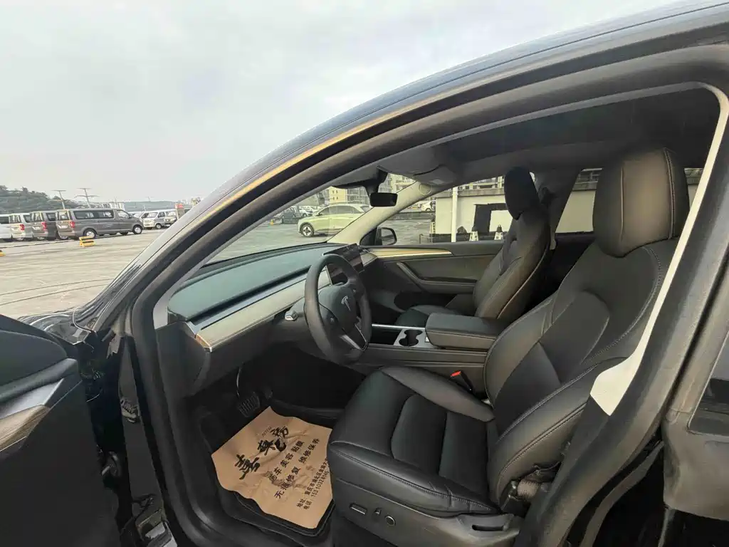 Tesla Model Y — миниатюра 11