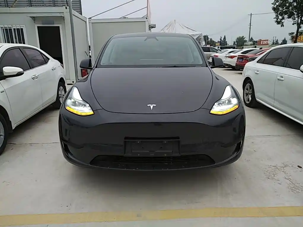Tesla Model Y — миниатюра 3