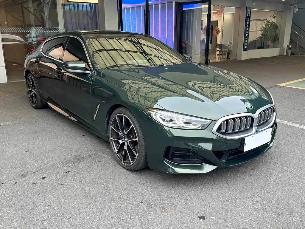 BMW 8 Series — миниатюра 2