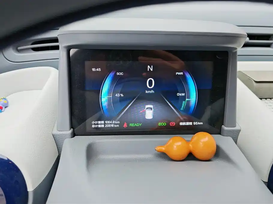 BESTUNE PENTIUM PONY