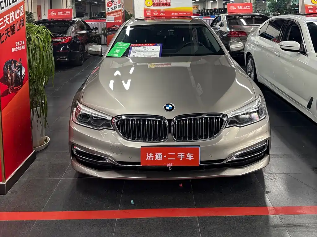 BMW 5 Series 5 2020 530Li xDrive Luxury