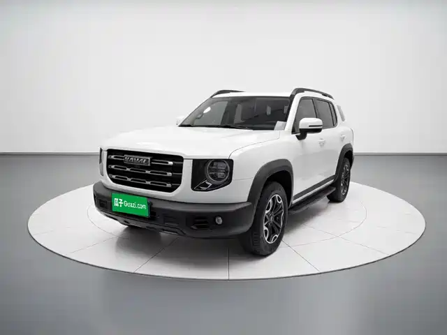 2021 Haval Big Dog