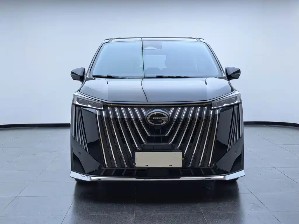 GAC Motor Trumpchi M8 — миниатюра 2
