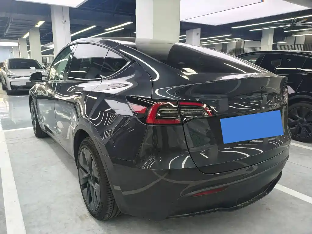 Tesla Model Y — миниатюра 10