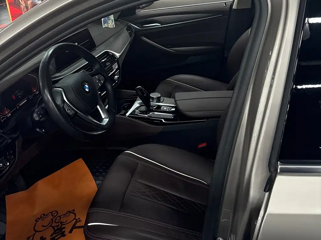 BMW 5 Series 5 2020 530Li xDrive Luxury