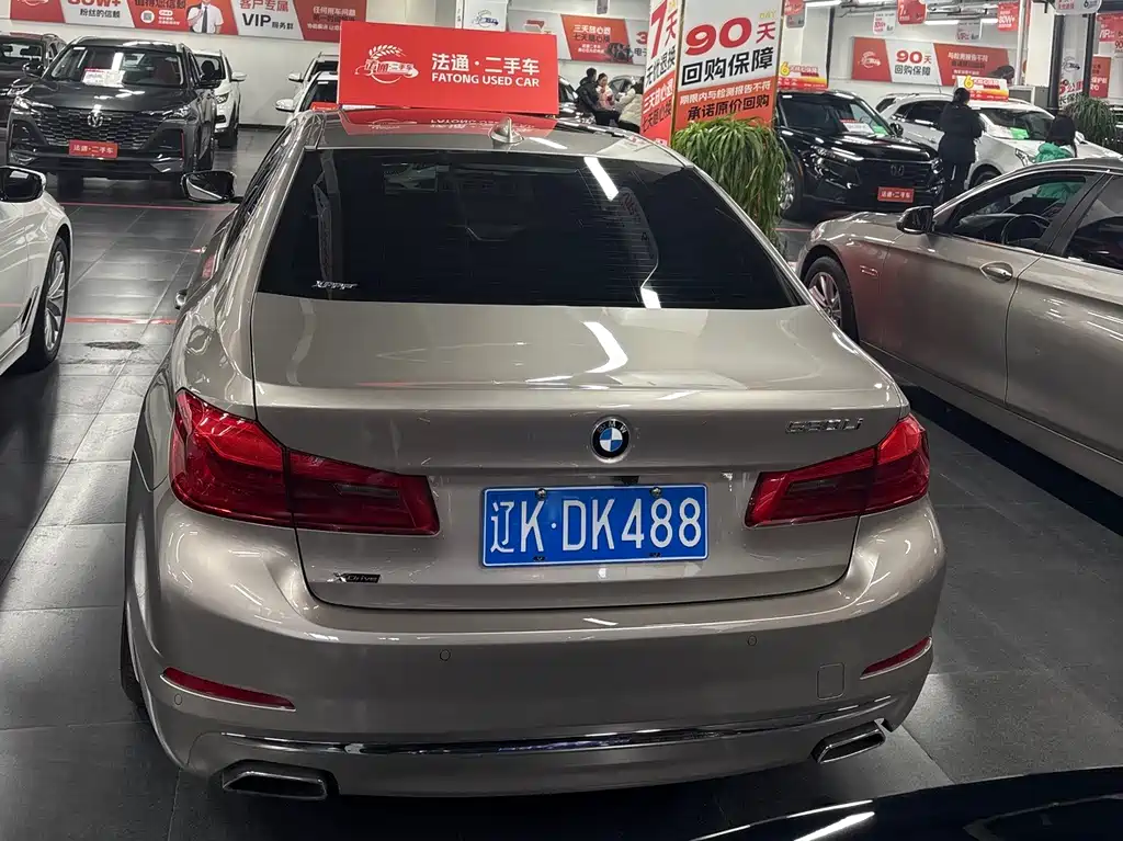 BMW 5 Series 5 2020 530Li xDrive Luxury