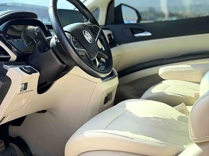 Buick GL8 — миниатюра 9