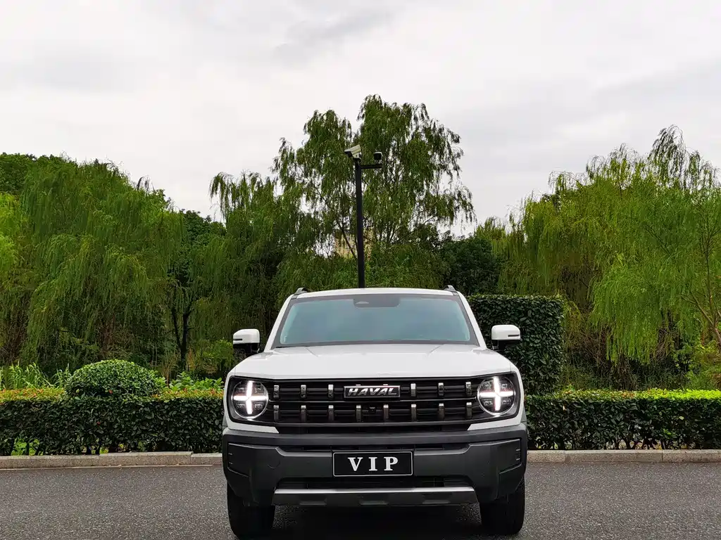 Haval Cool Dog — миниатюра 2