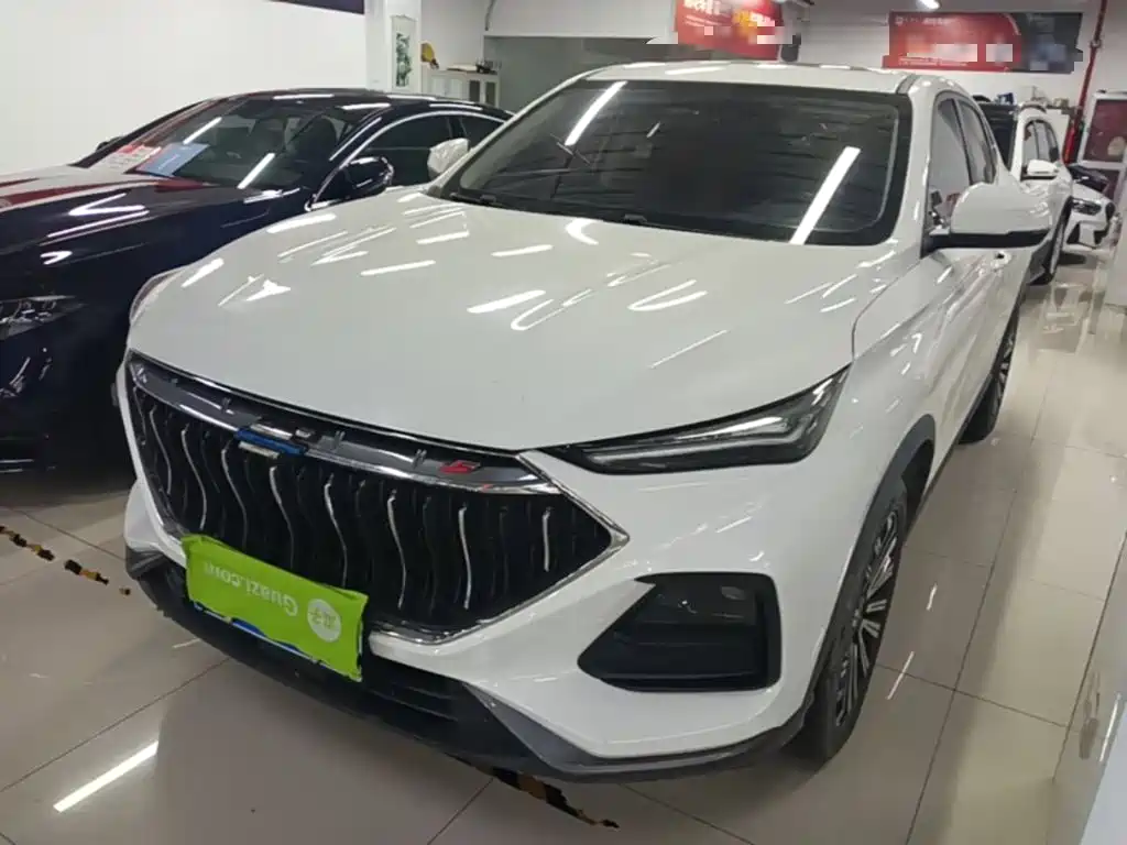 Oshan Oushang X5 — миниатюра 2