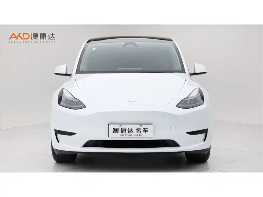 Tesla Model Y — миниатюра 2