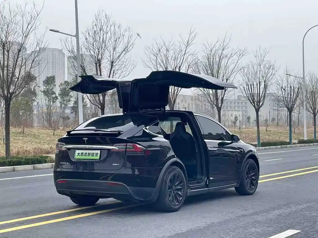 TESLA MODEL X