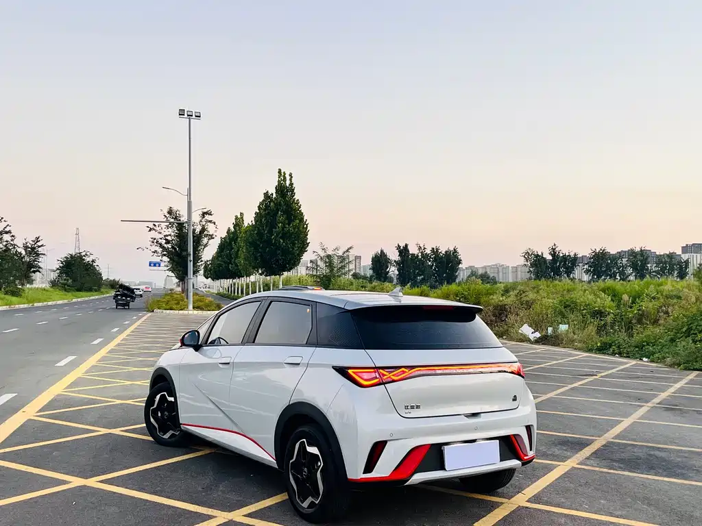 BYD Dolphin — миниатюра 9