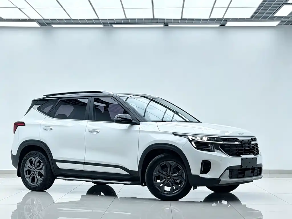 Kia Seltos — миниатюра 3