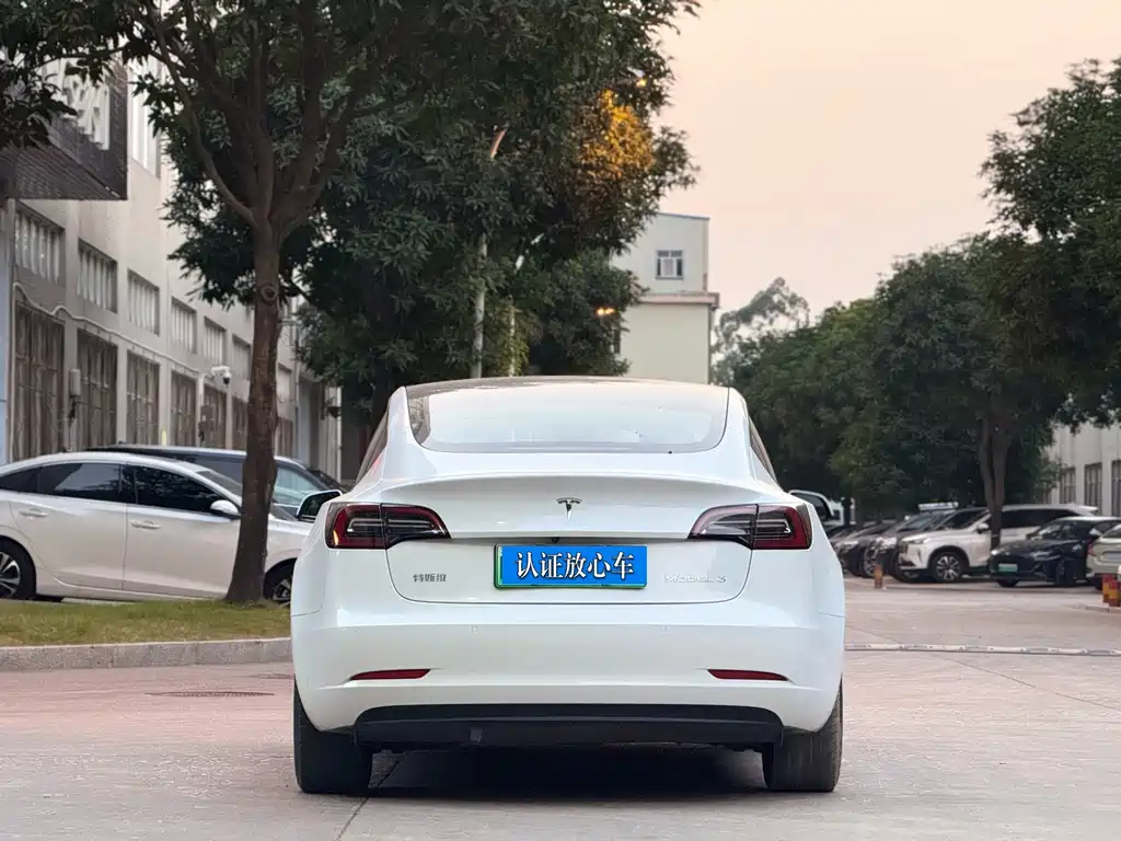 Tesla Model 3 — миниатюра 5