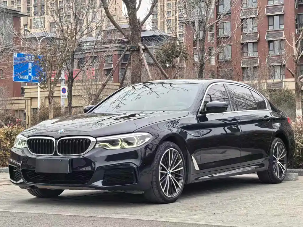 BMW 5 Series 2019