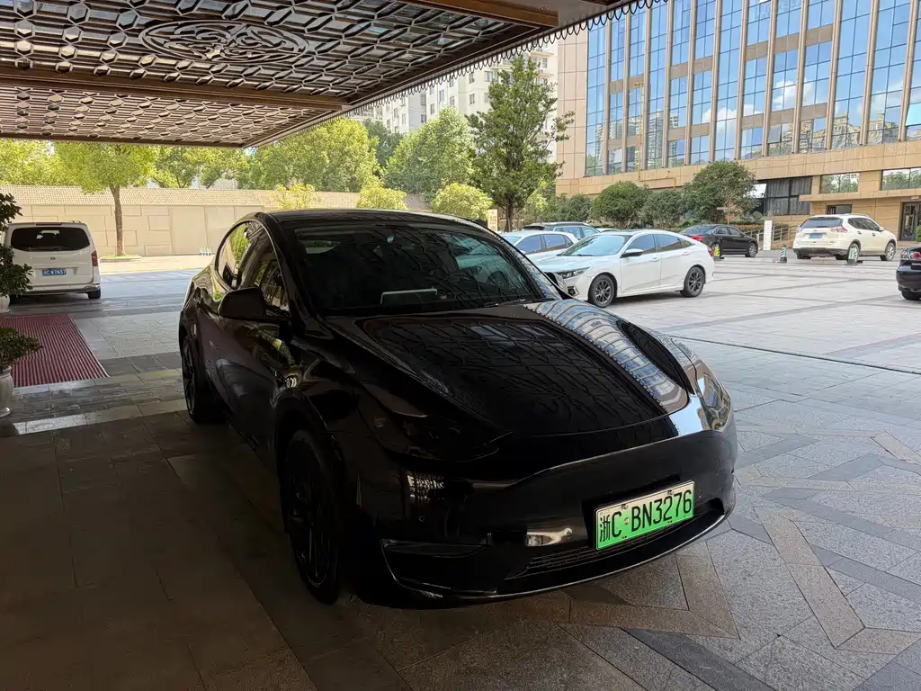 Tesla Model Y — миниатюра 7